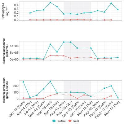 Seasonal Prokaryotic Community Linkages Between Surface and Deep Ocean Water